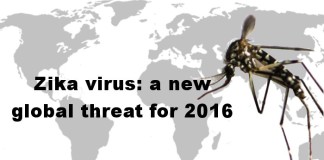 Zika virus: a new global threat for 2016