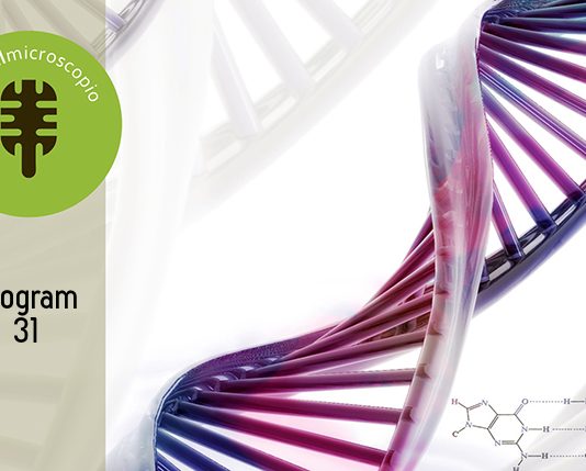 El Microscopio – Program 31