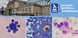 International Meeting on Endemic Mycoses of the Americas