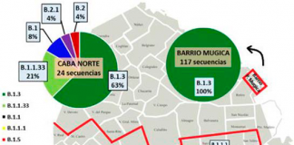 Secuencian más de 400 genomas del SARS-CoV-2 aislados en distintas partes de Argentina